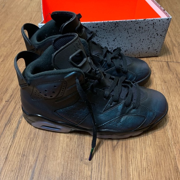 Other - Men’s Jordan VI 6 Playoffs (Color Changing) Sz 9.5